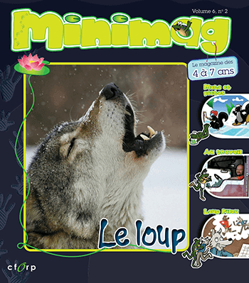 Visionner le magazine Minimag volume 6 numéro 2.