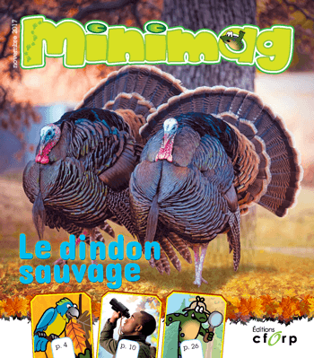 Visionner le magazine Minimag volume 10 numéro 1.